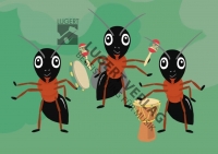 33 Aktionskarten zum Hörspiel „Eule findet den Beat – mit Gefühl“ (Für Kindergarten, Vorschule und erste Klasse)